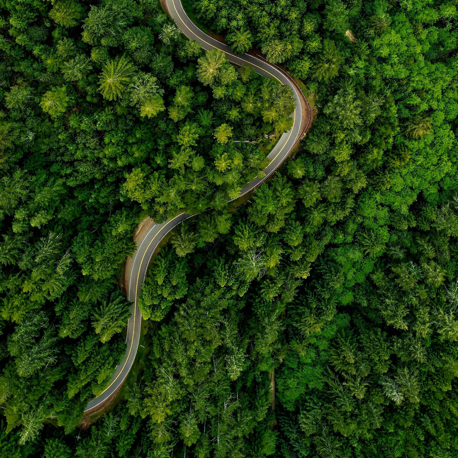 Running & Cycling Tracks amenity image