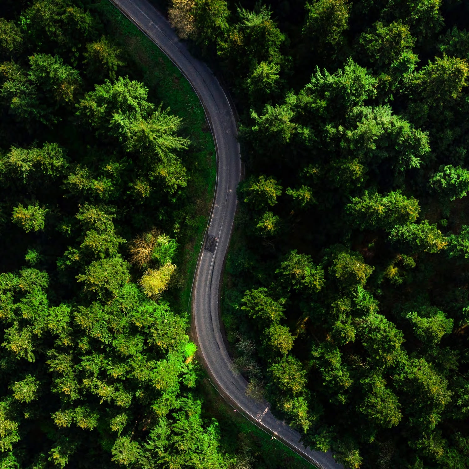 Green Spine amenity image