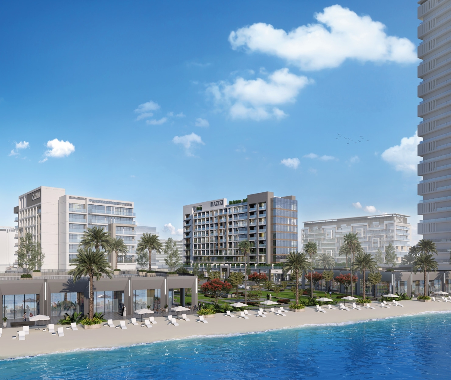 Riviera 67 cover image