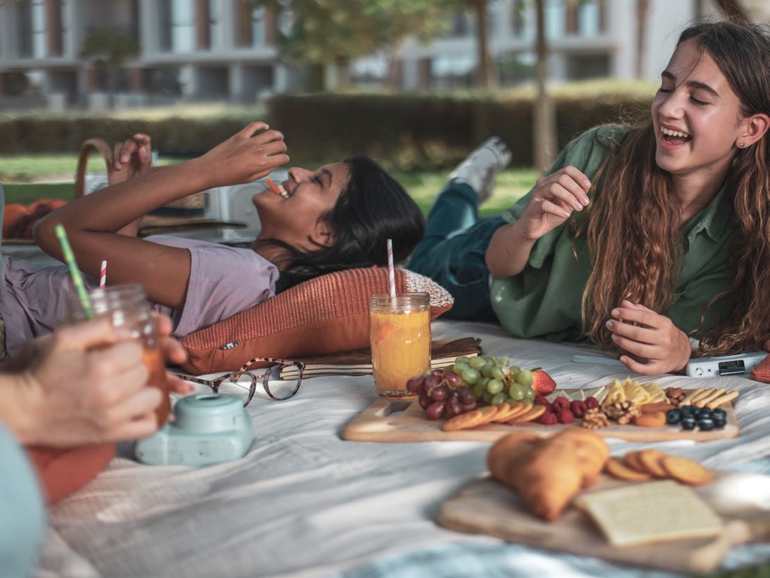 Picnic Lawns amenity image