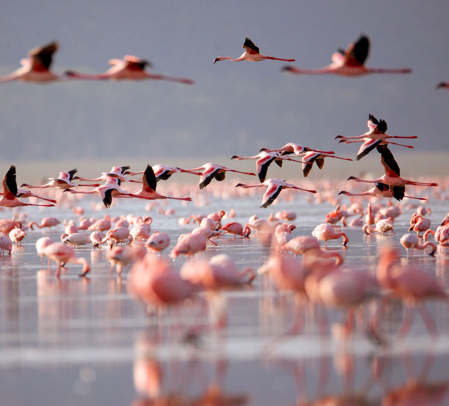 The Observatory amenity image