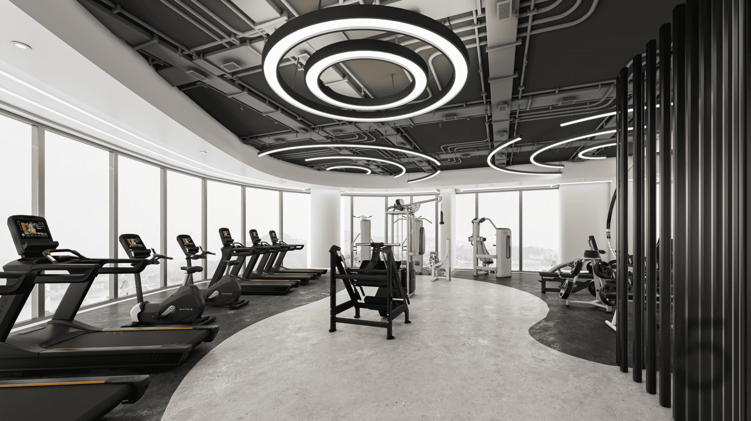 Modern Gym amenity image