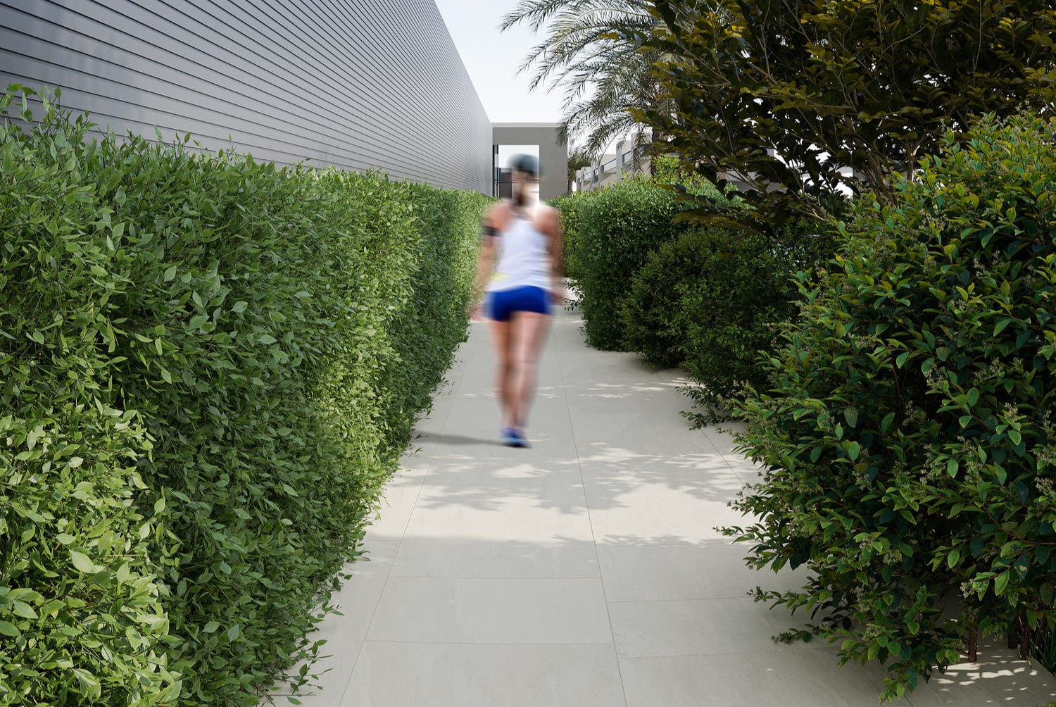 Walking Track amenity image