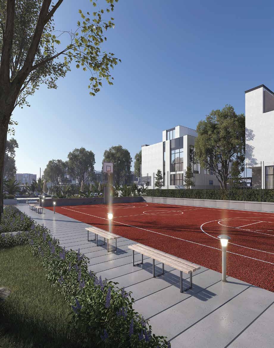 Basketball Court amenity image