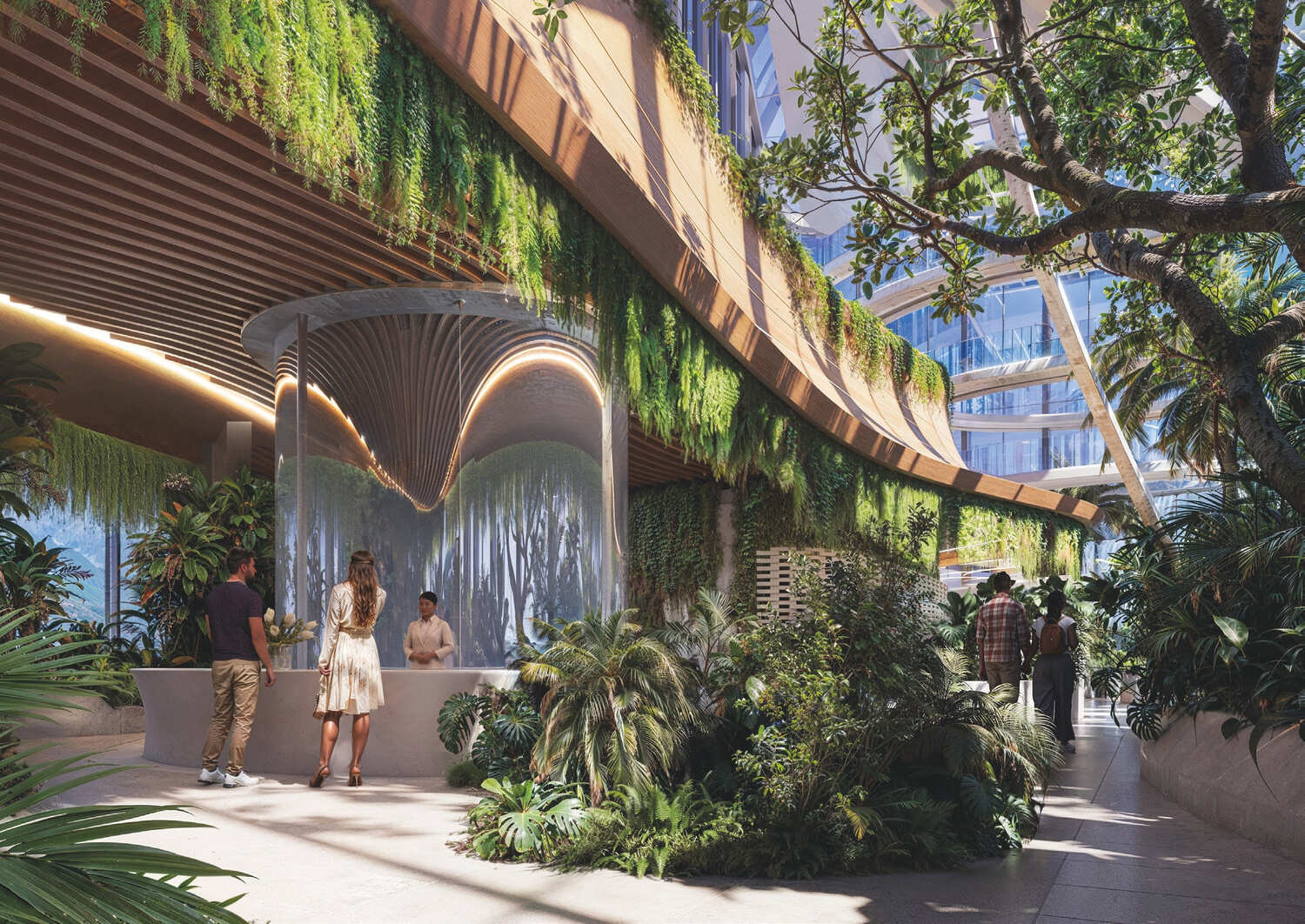 Rainforest amenity image