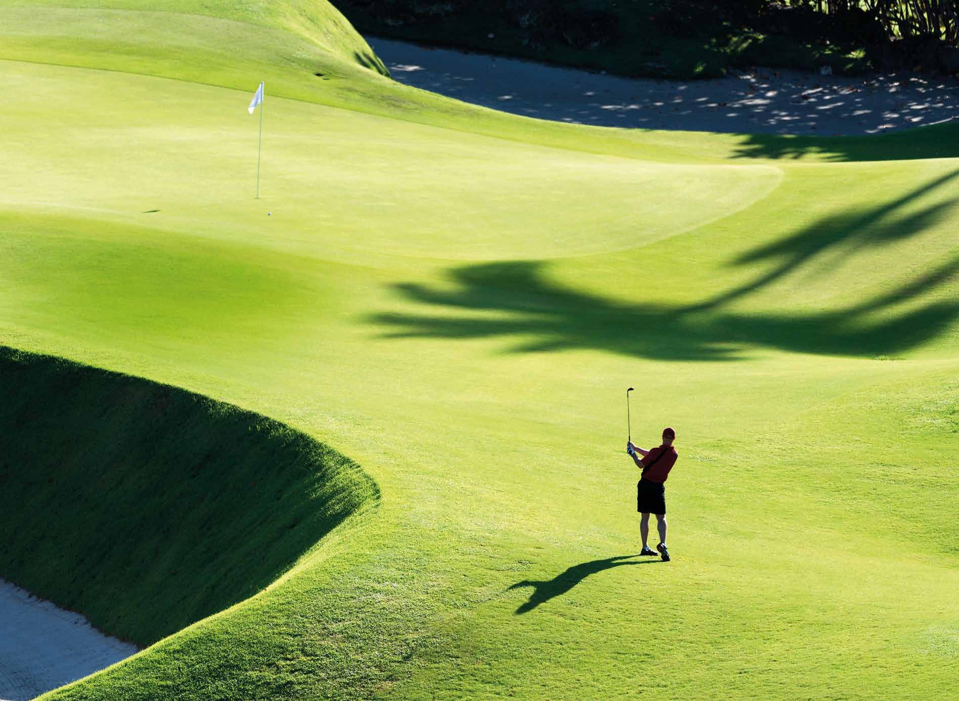 Golf court amenity image