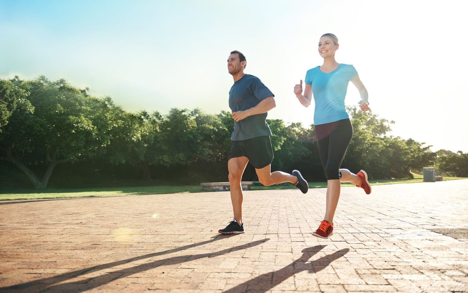 Landscaped gardens amenity image