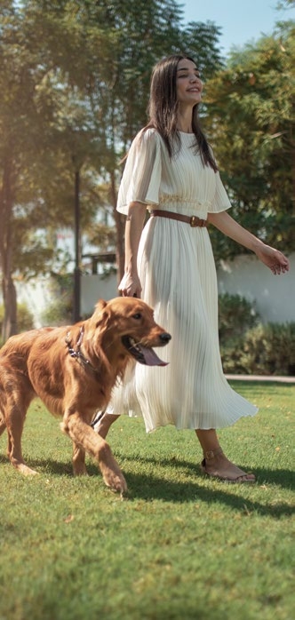 Dog Parks amenity image