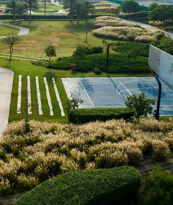 Basketball Court amenity image