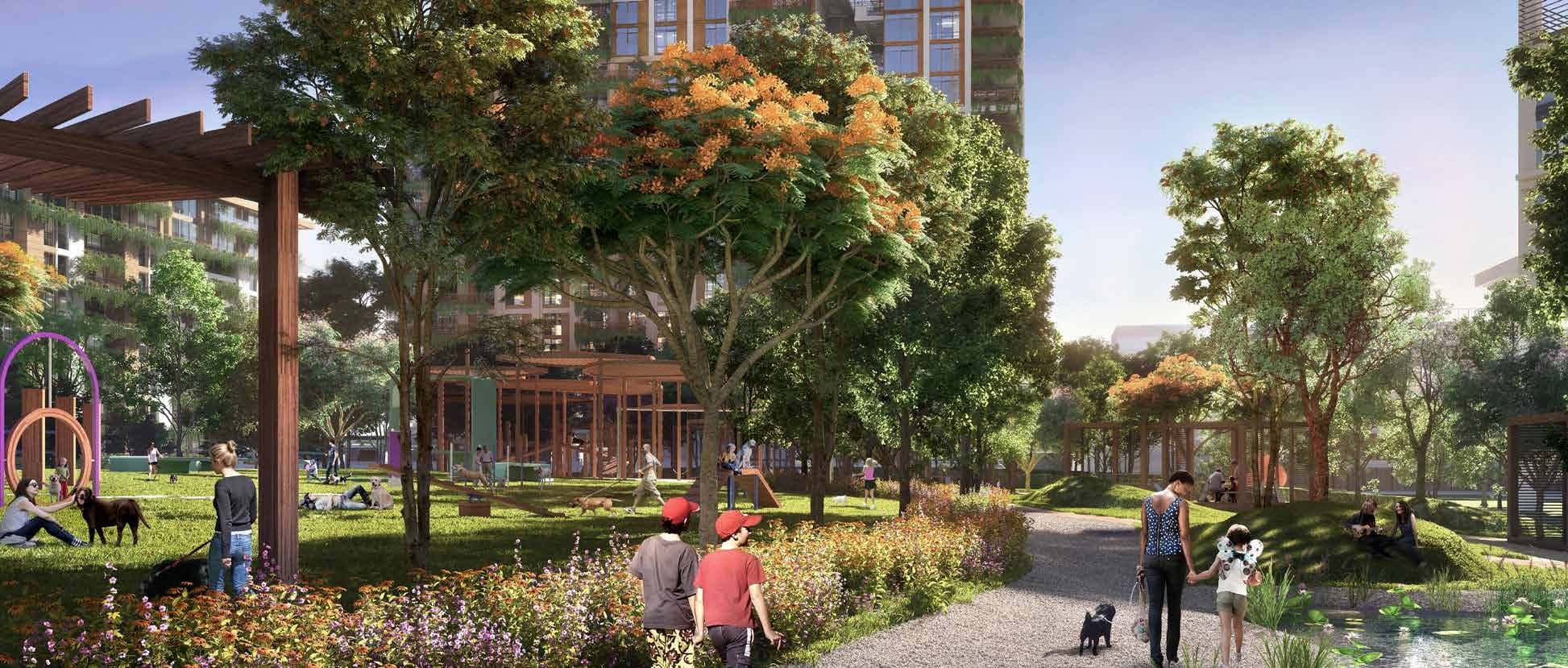 Dog park amenity image