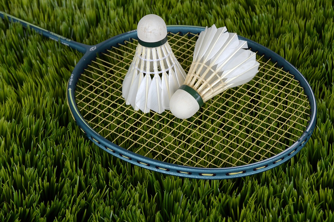 Badminton Court amenity image