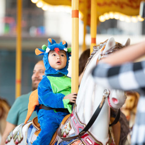 Carousel amenity image