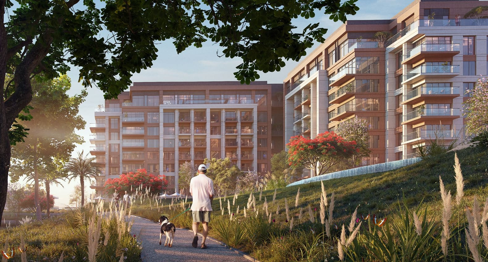 Dog park amenity image