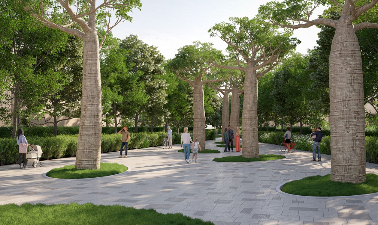 Baobab Tree Court amenity image