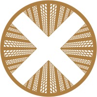 TownX Logo