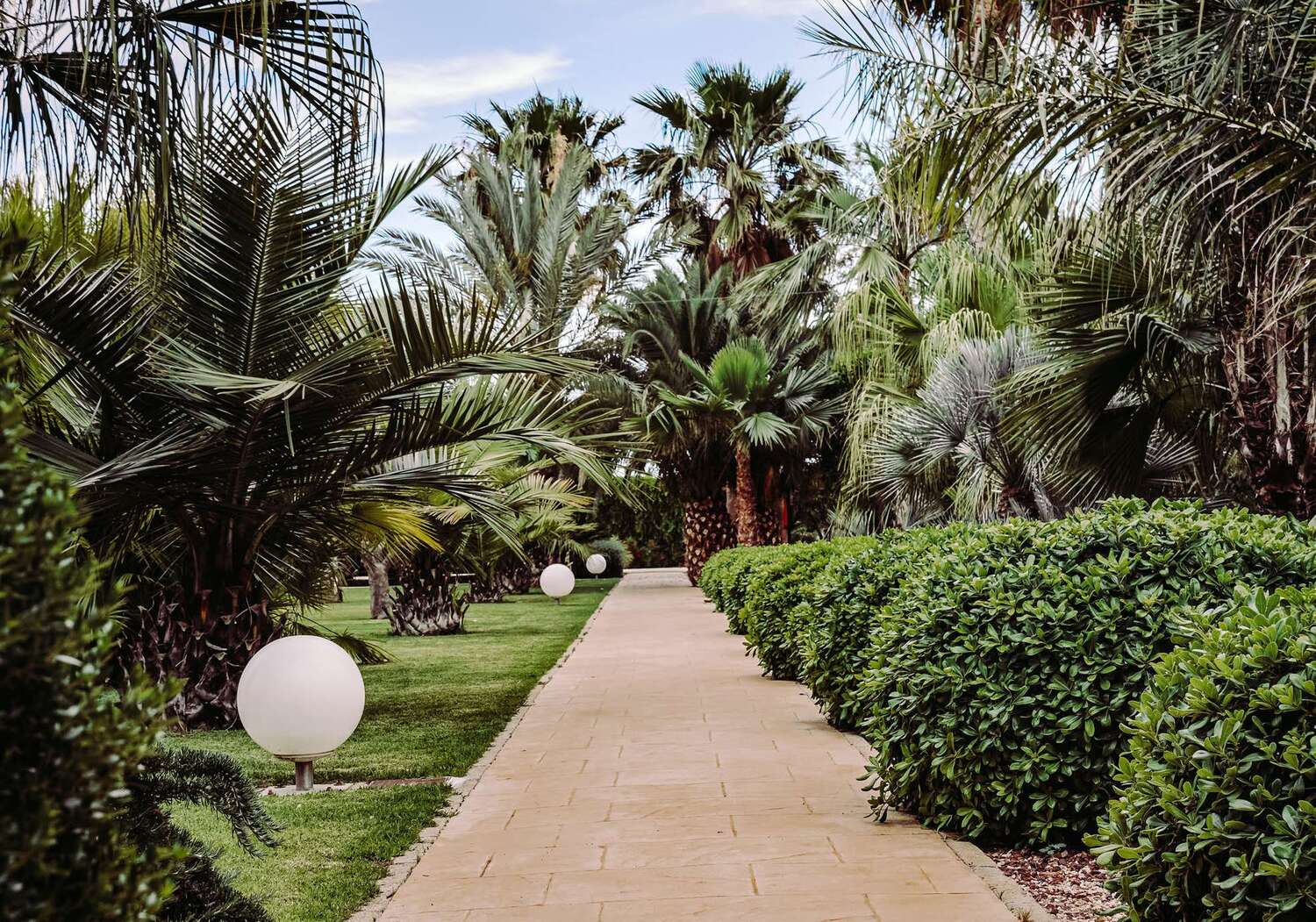 Lush Green Park amenity image