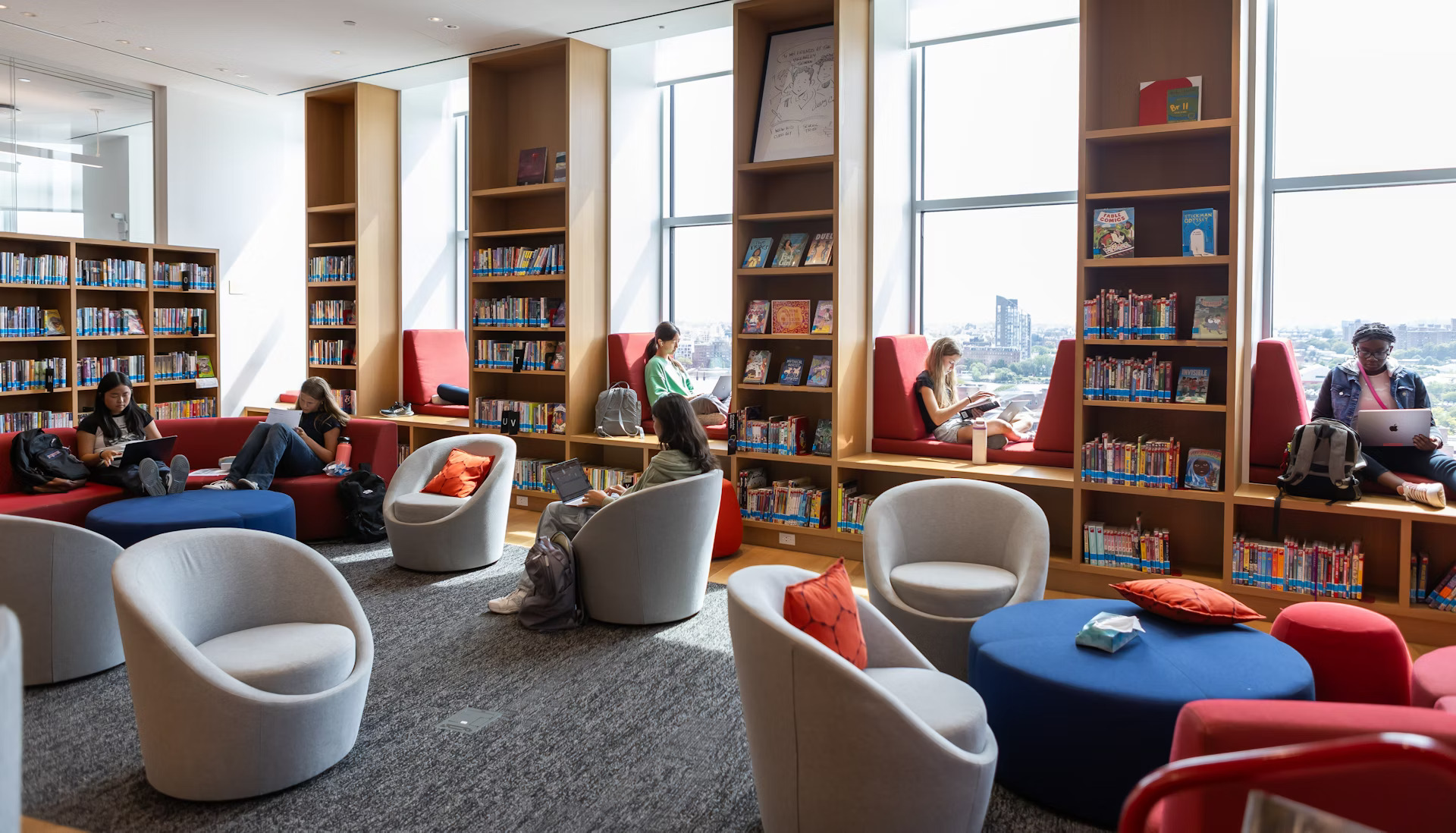 Library amenity image