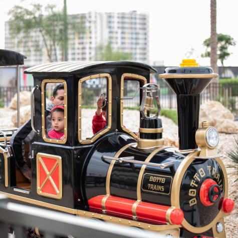 Kids Train amenity image