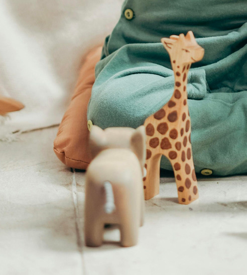 Play Area amenity image