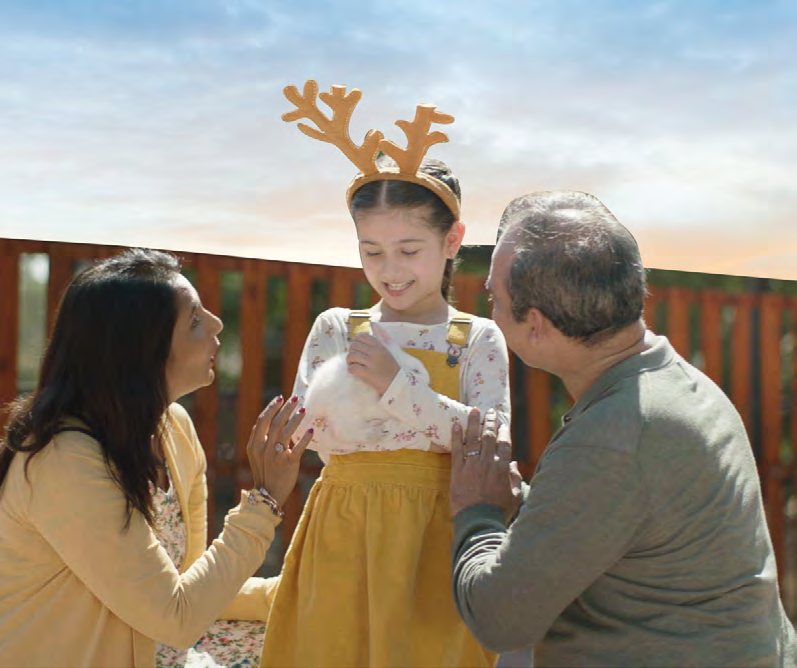 Petting farm amenity image