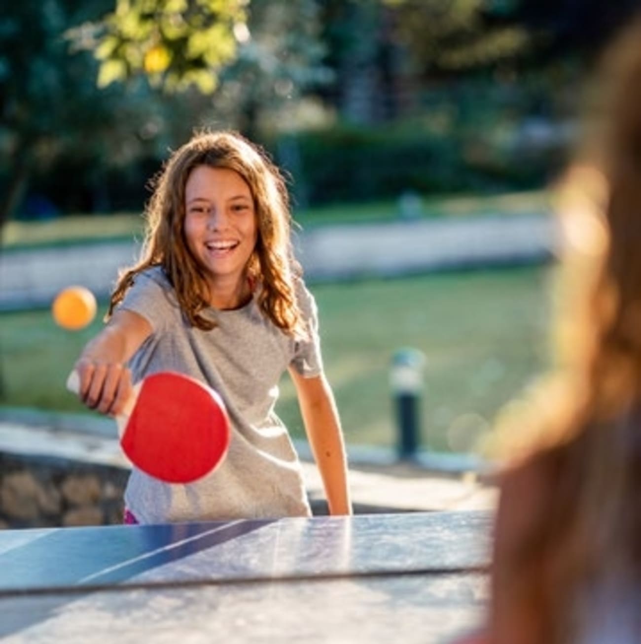 Ping Pong Table amenity image