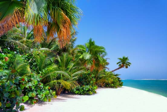 Private Beach amenity image