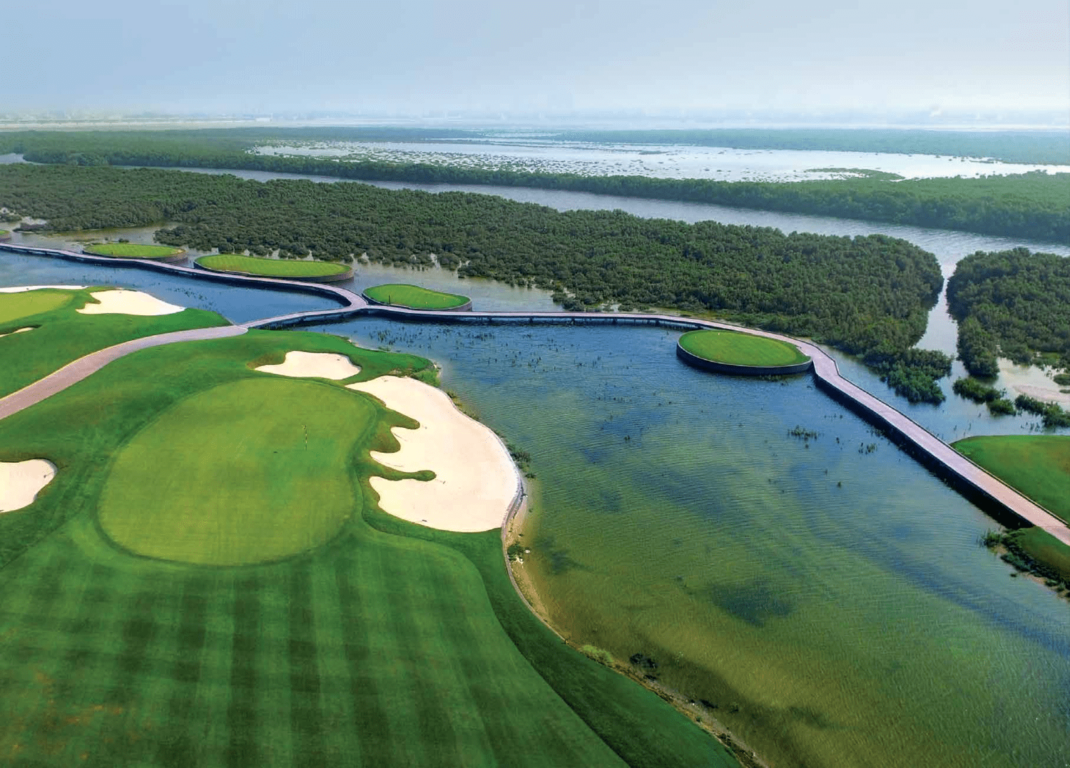 Natural Mangrove Forest amenity image