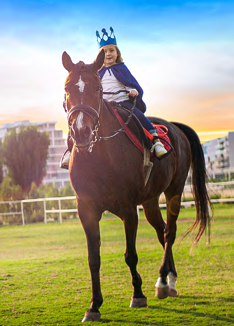 Stables with horse-riding lessons amenity image