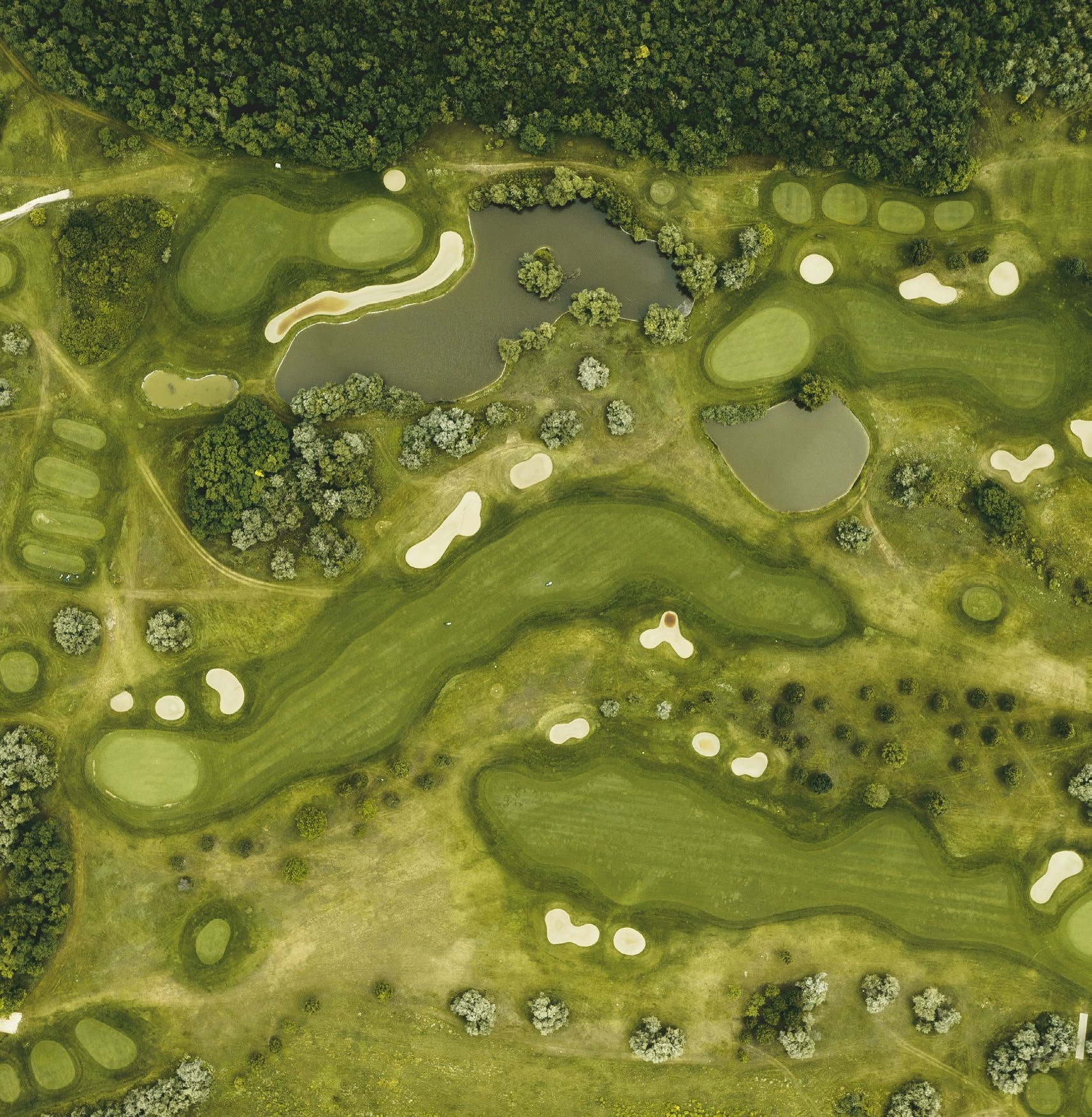 Golf Course amenity image