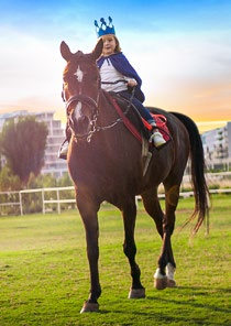 Horse Riding amenity image