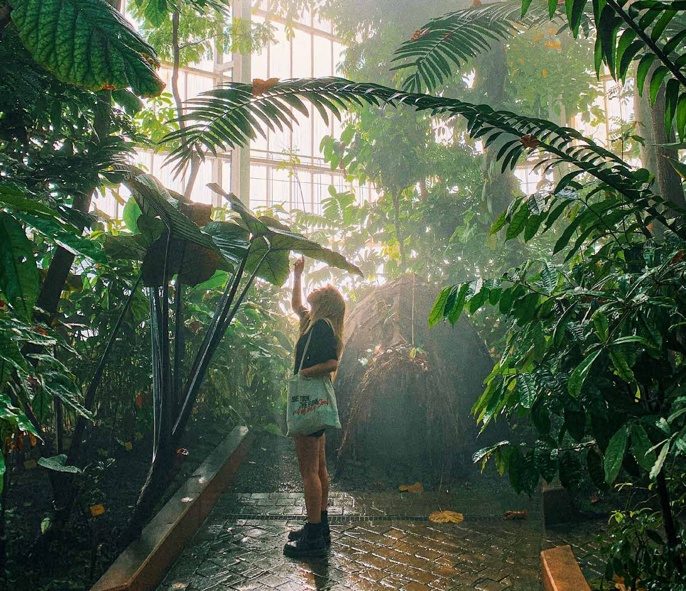 Serenity Garden amenity image