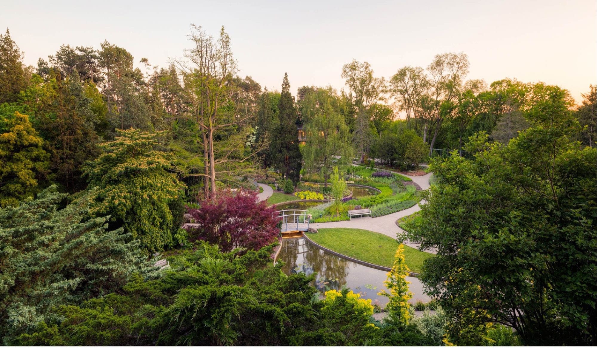 Tranquil pond amenity image