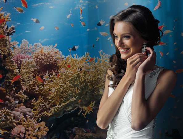 Coral Reefs & Marine Life amenity image