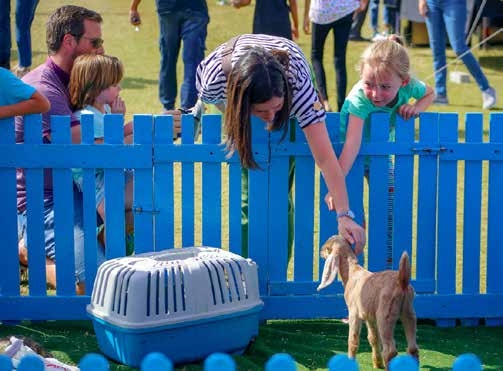 Petting Farm amenity image