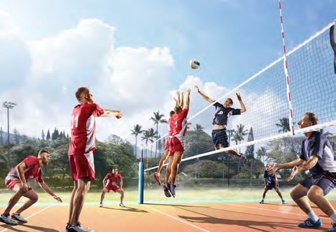 Volleyball Court amenity image