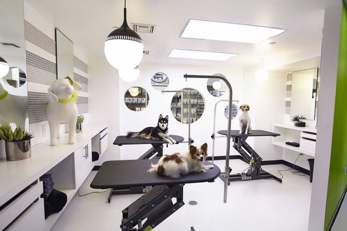 Pet Grooming Rooms amenity image