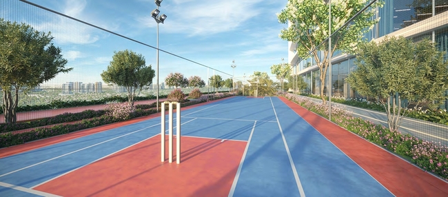 Cricket Pitch amenity image