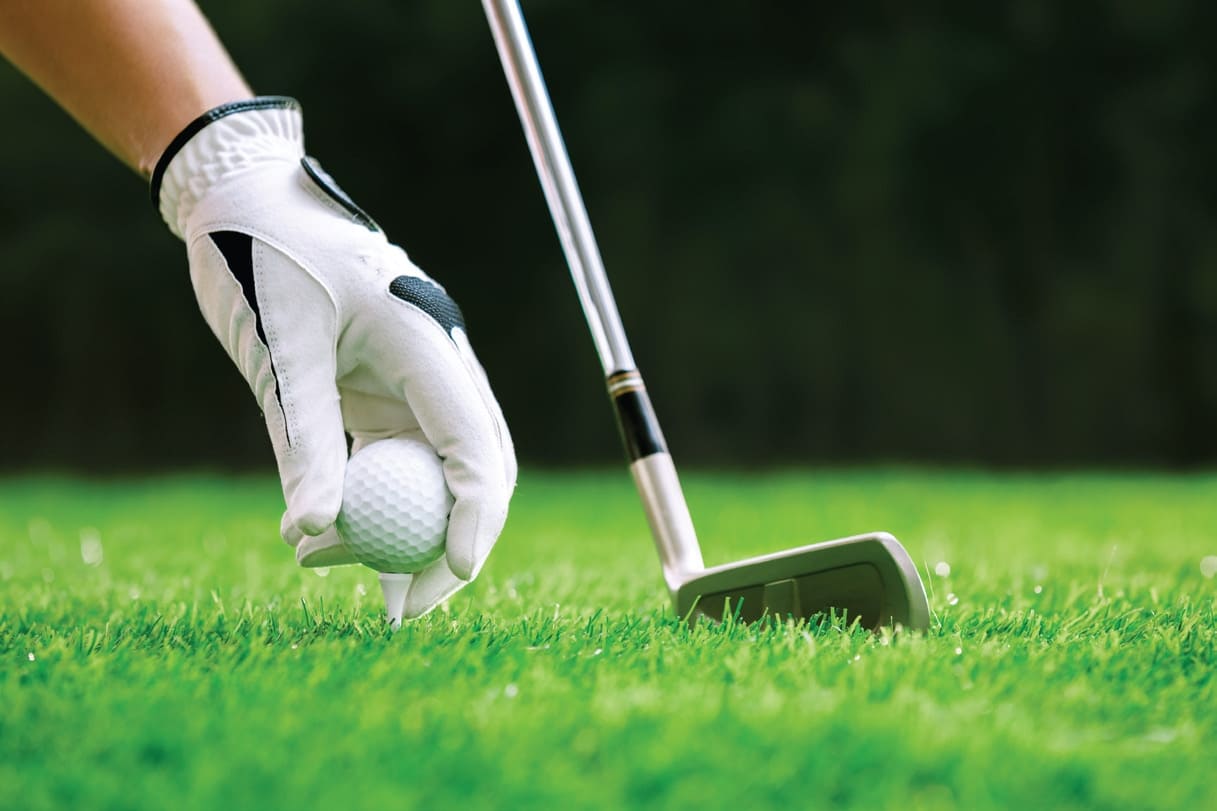 Golfing Zone amenity image