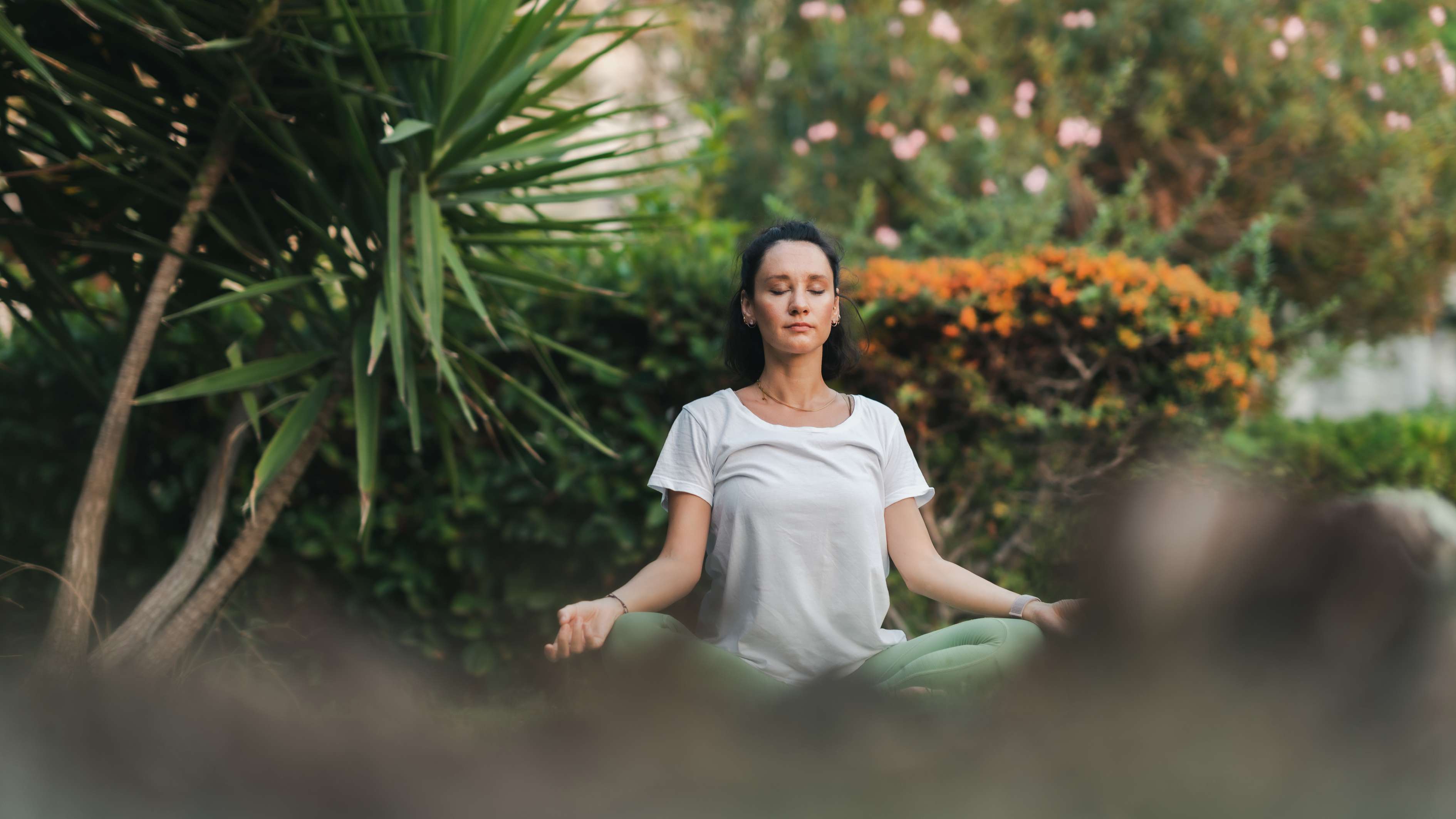 Meditation garden amenity image