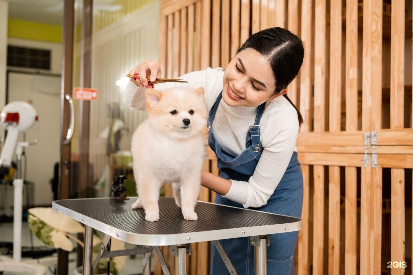 Pet Grooming Spa amenity image