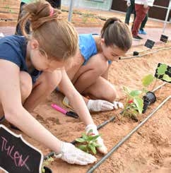 Green Zone amenity image