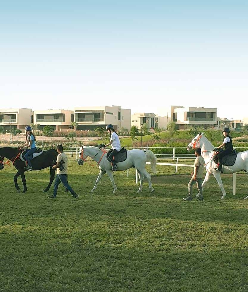 Stables with horse-riding lessons amenity image