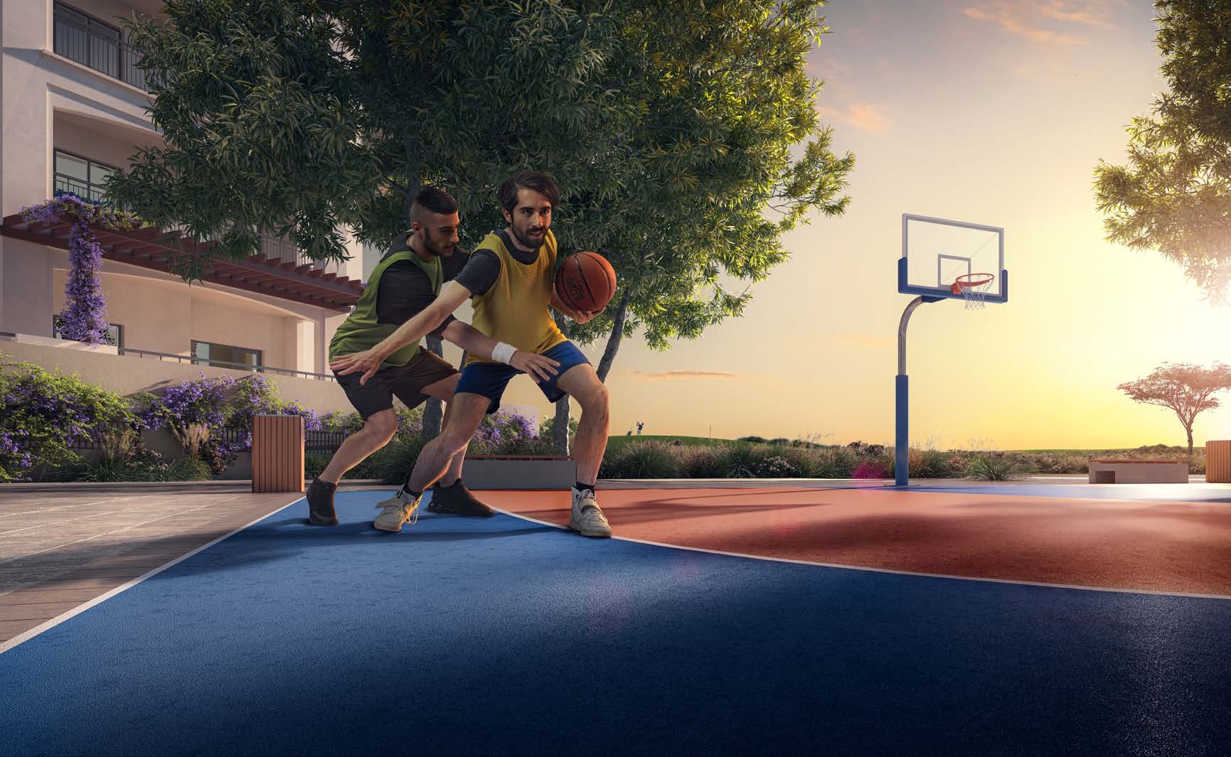 Basketball Court amenity image