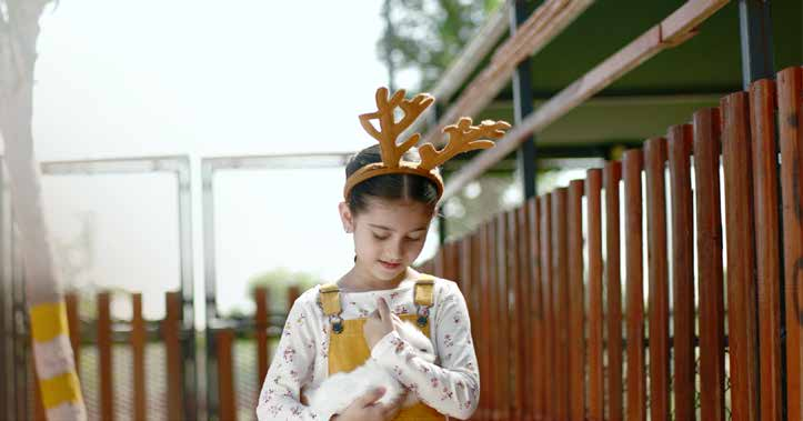 Petting farm amenity image