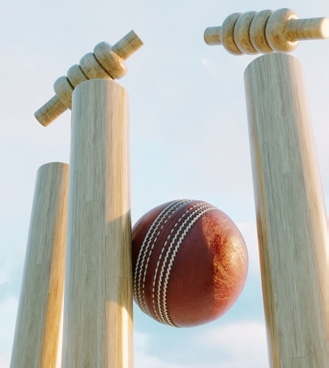 Cricket Field amenity image