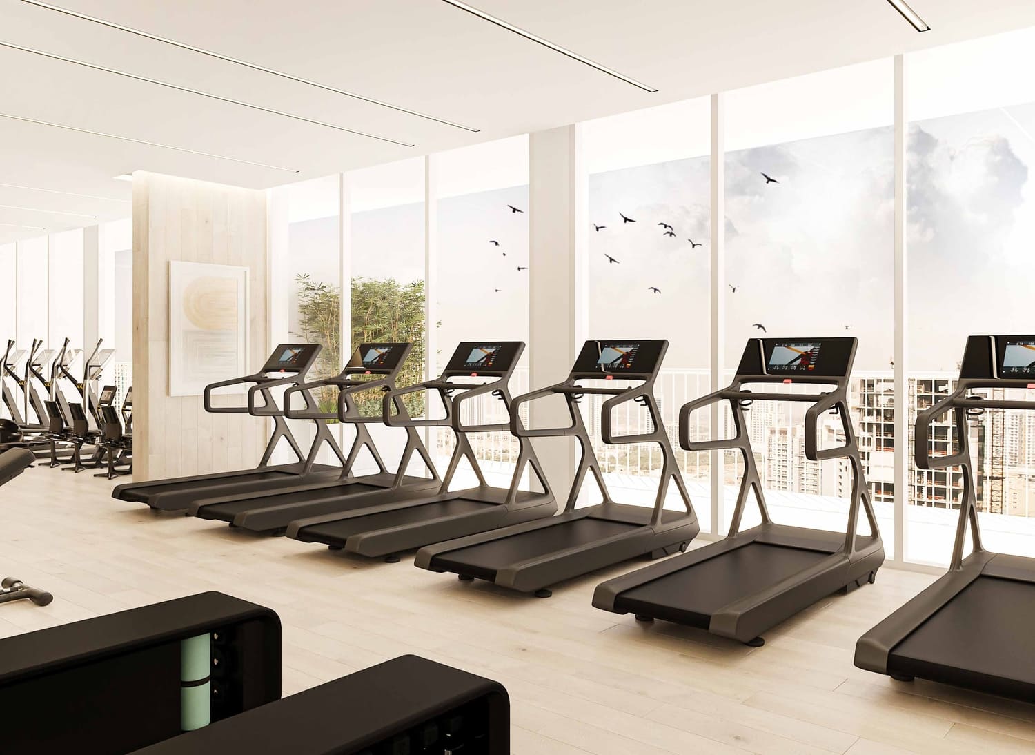 Modern Gym amenity image