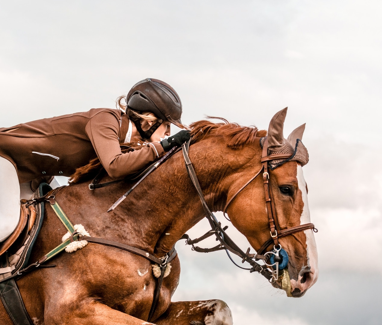 Dubai Polo and Equestrian Club amenity image