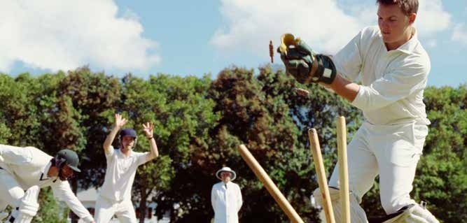 Cricket Court amenity image