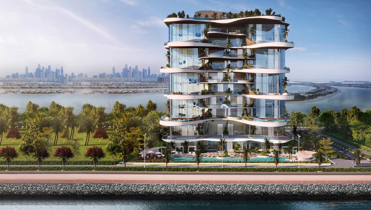 One Crescent Palm cover image