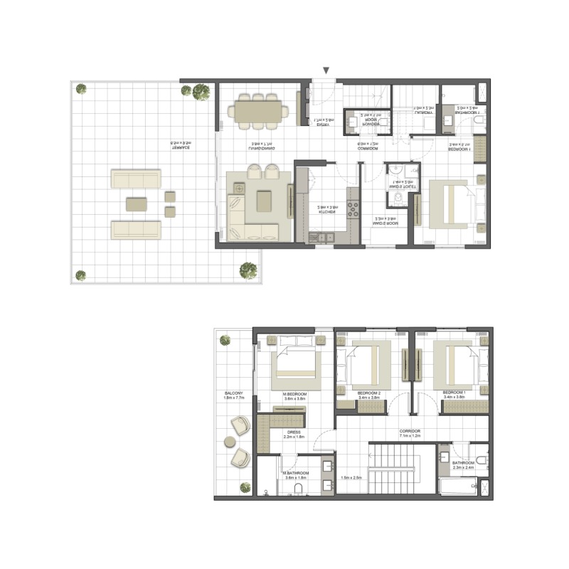 Penthouse plan